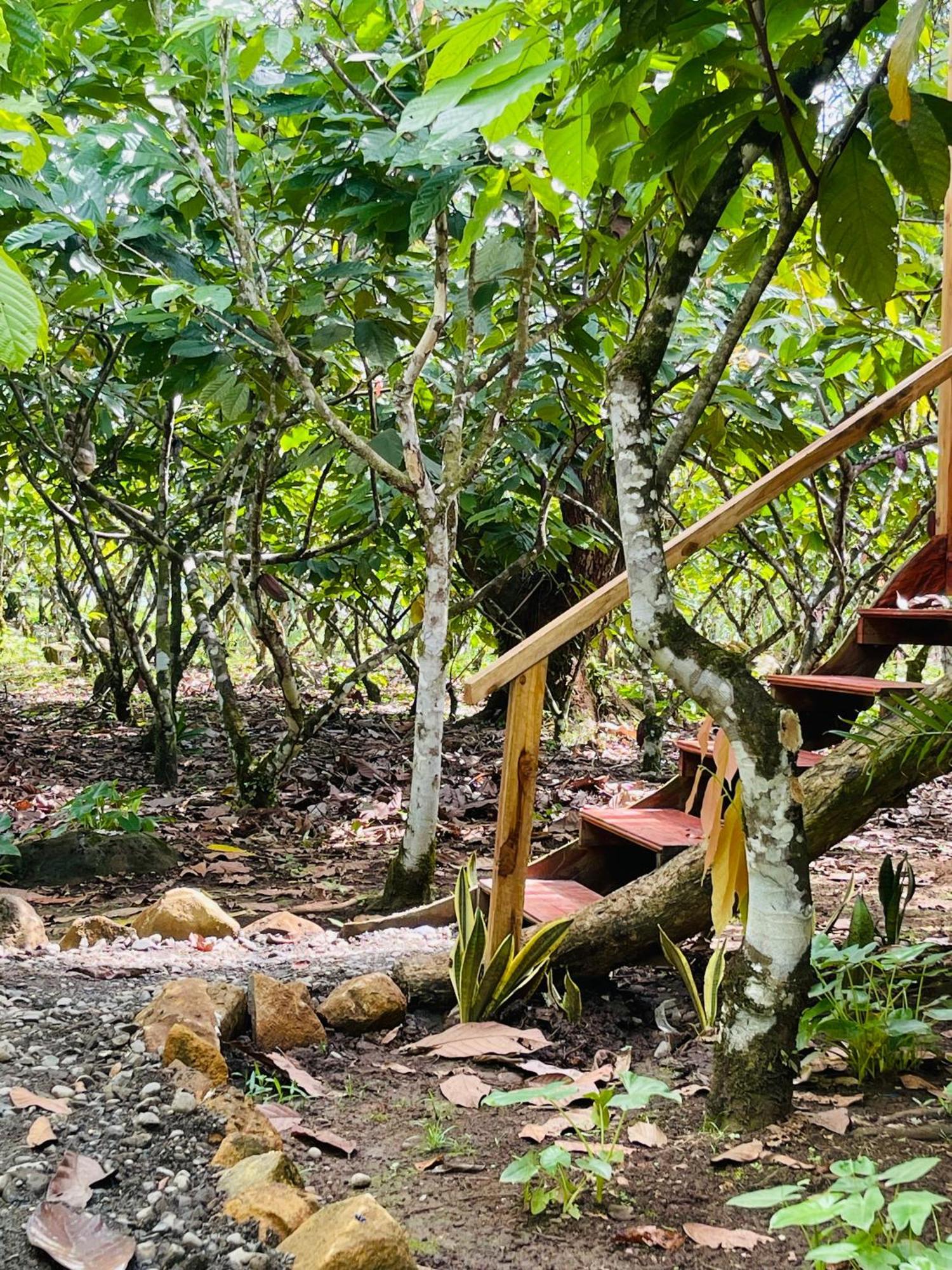 Rio Celeste, Cacahua Lodge Dış mekan fotoğraf