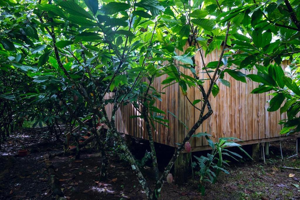 Rio Celeste, Cacahua Lodge Dış mekan fotoğraf