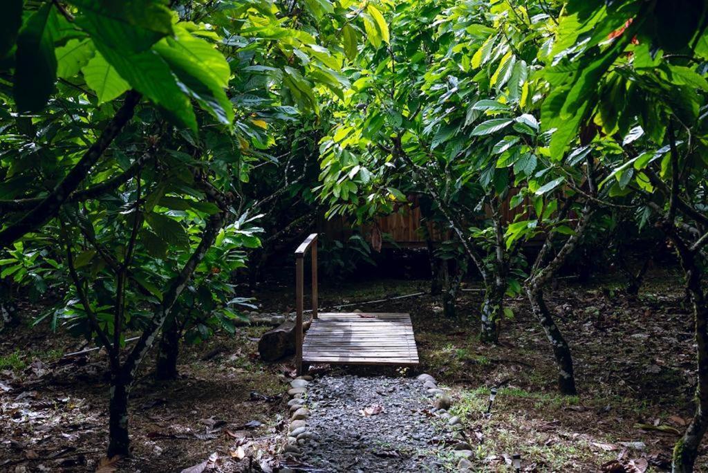 Rio Celeste, Cacahua Lodge Dış mekan fotoğraf